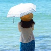 ある夏の日