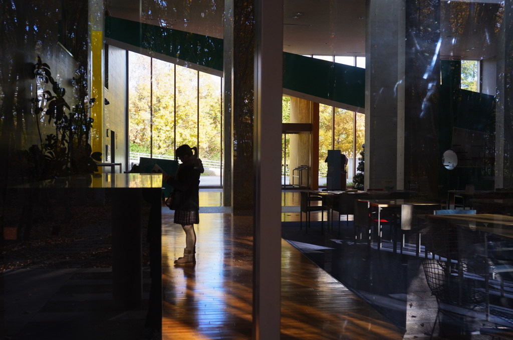 Photo Museum