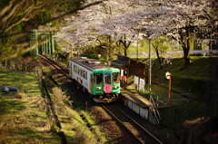 桜の駅