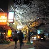 夜桜デート