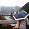 春の雨