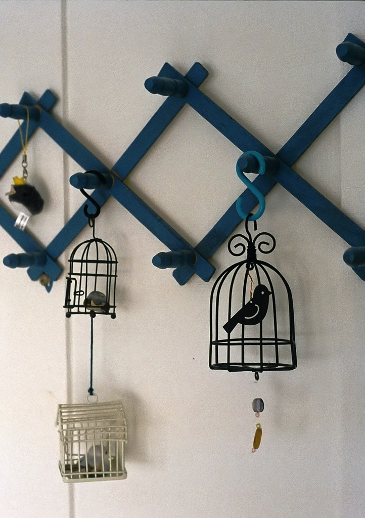Ｂｉｒｄ　Ｃａｇｅ