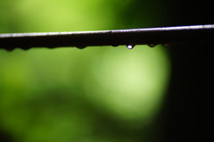 雨あがる