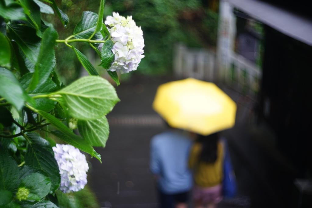 雨の江ノ島