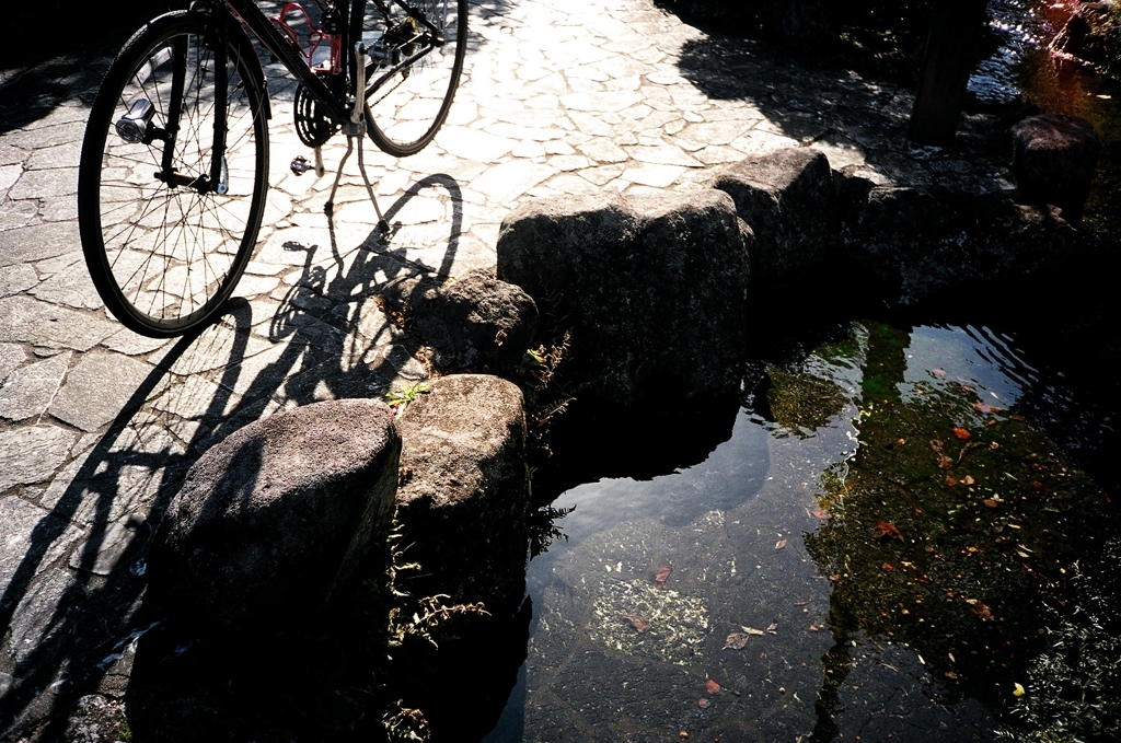 サイクリングロード