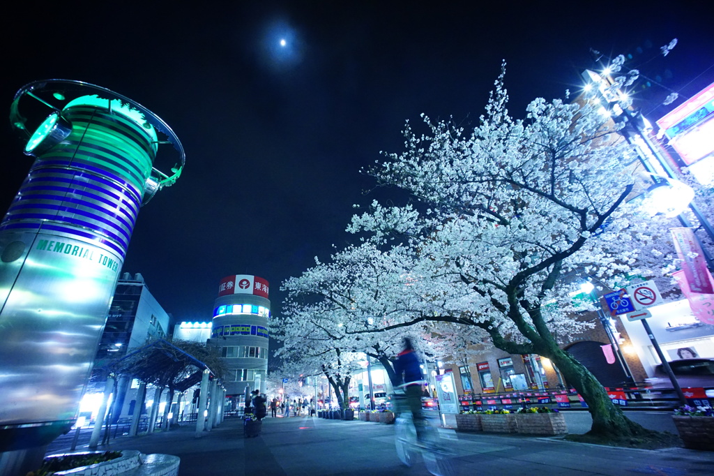 桜の街