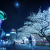 桜の街