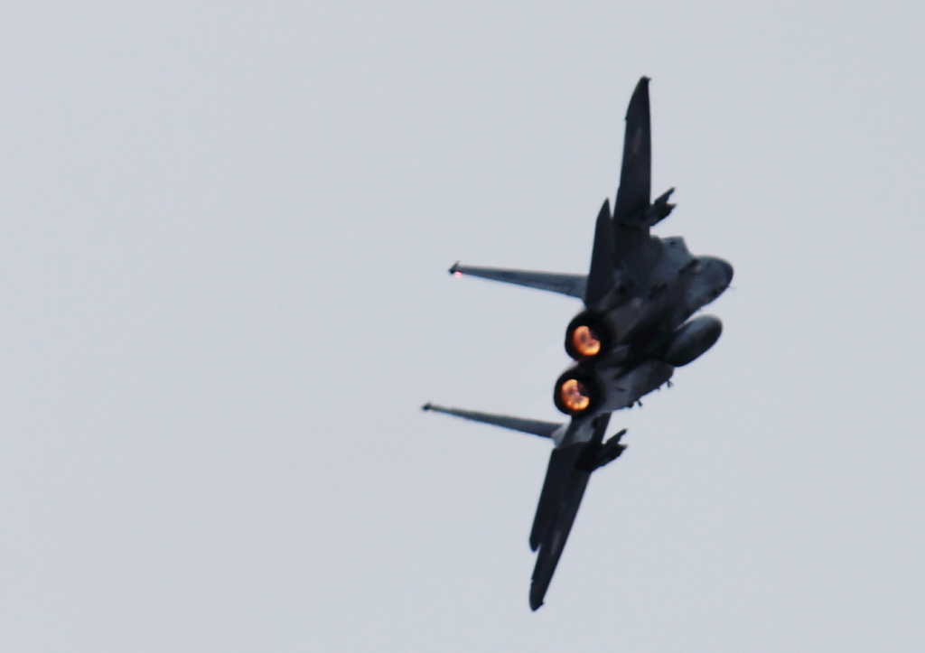 Ｆ１５