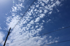 雲