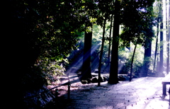 SHINE