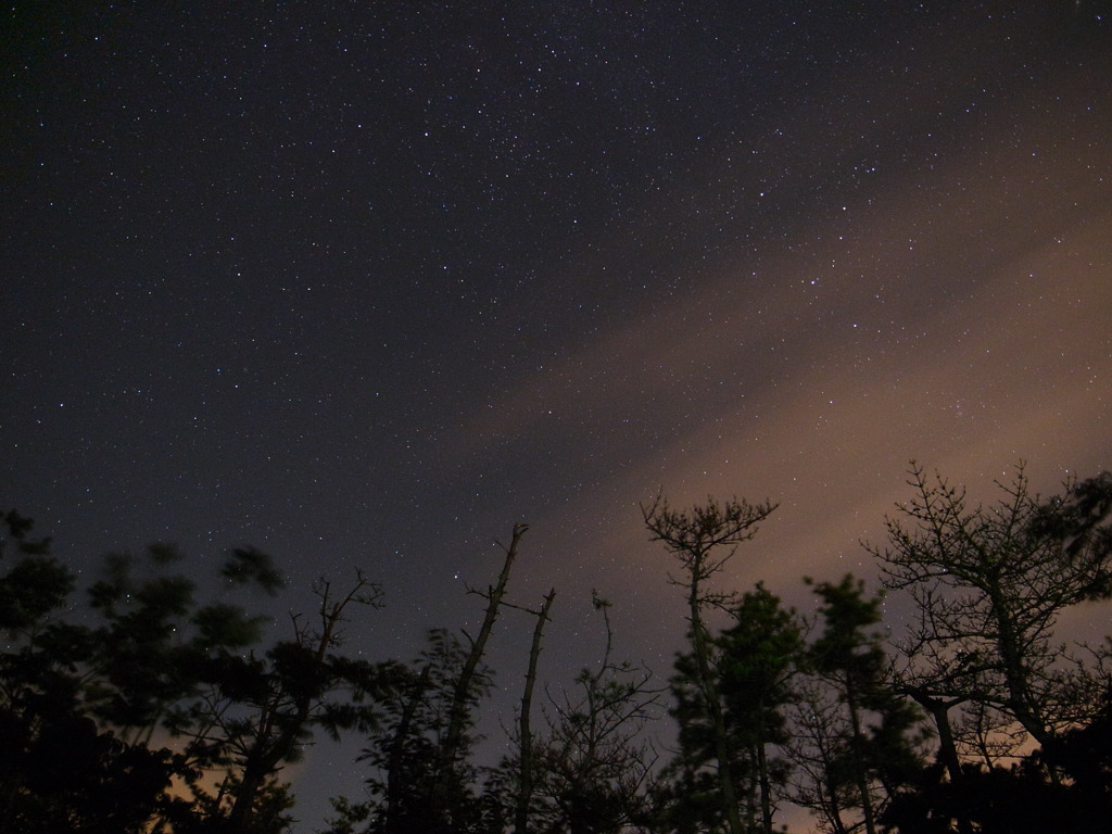 伊良湖の夜空①