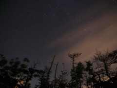 伊良湖の夜空①