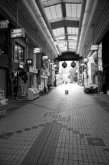 Untitled1