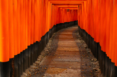 朱色の道