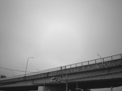 IMG_0483