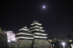 月城桜