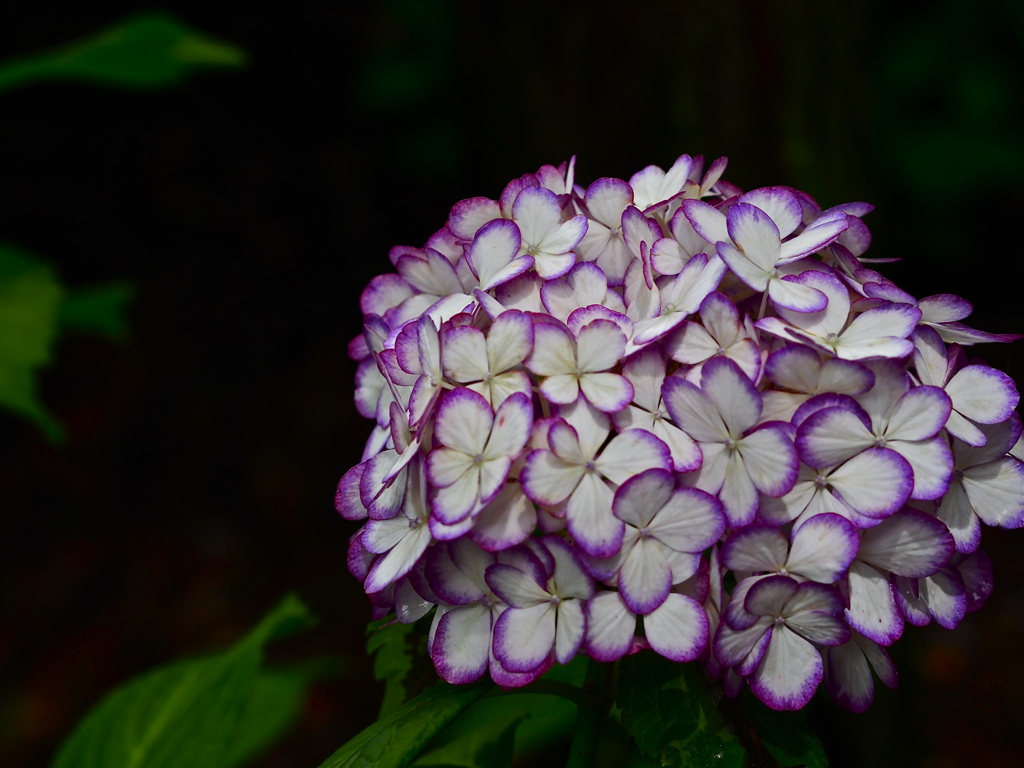 P7070148
