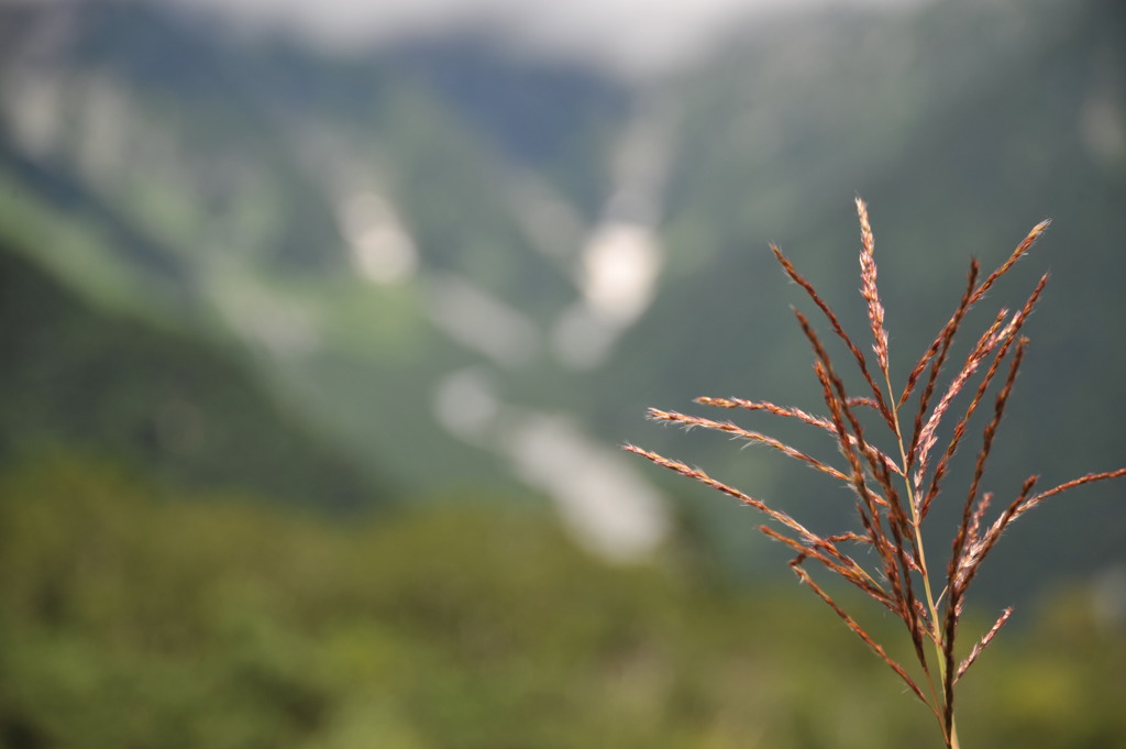 上高地