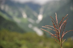 上高地