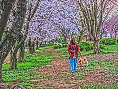 春の散歩