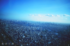 東京日和 - the urban air -