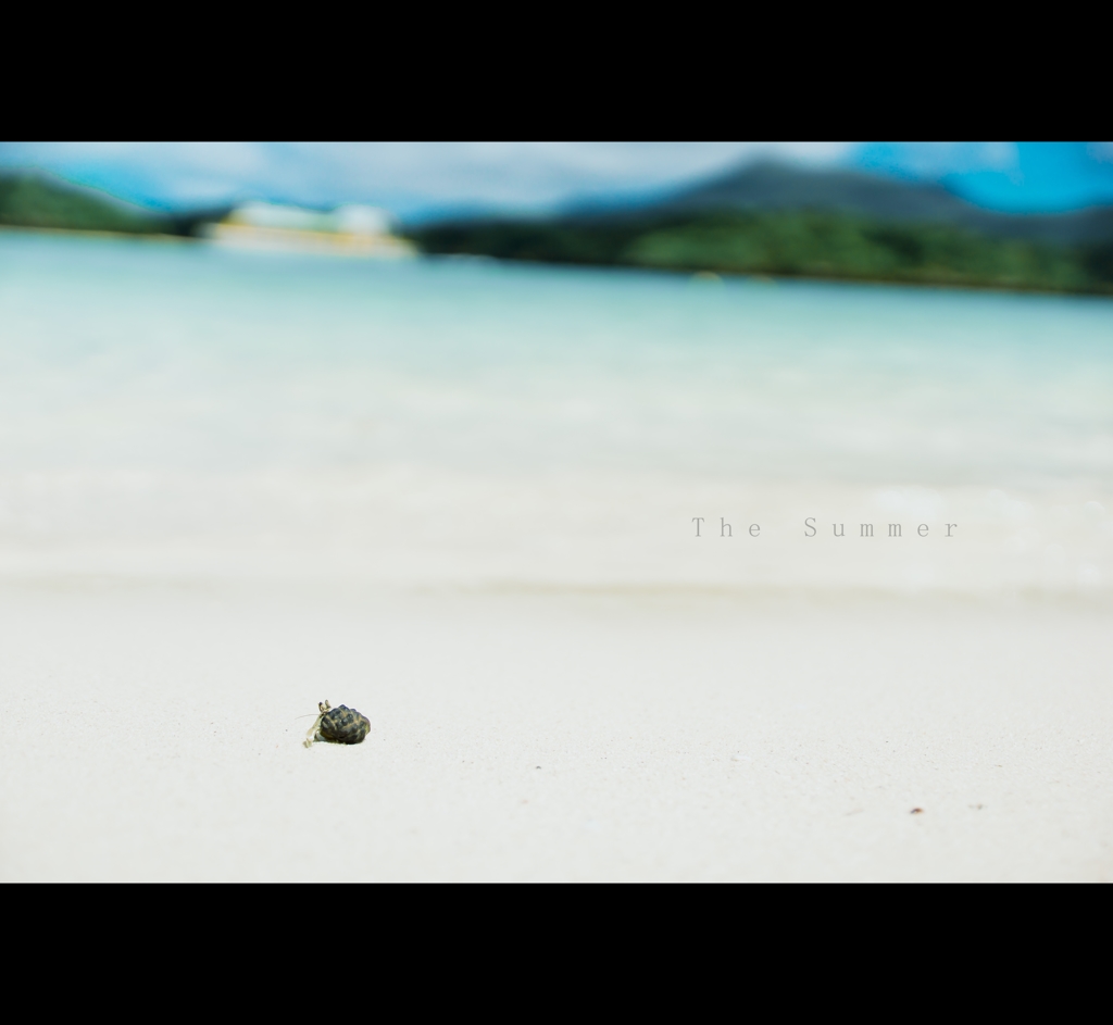 The SUMMER . . . 夢見るヤドカリ。