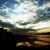 Morning Glory
