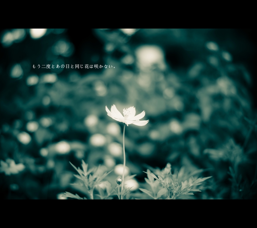 理想の花、遺灰の花。