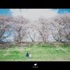 蒼い空、淡い紅、懐かしい風。