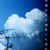 25度目の夏。