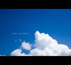 THE SUMMER