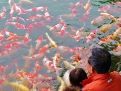 後楽園