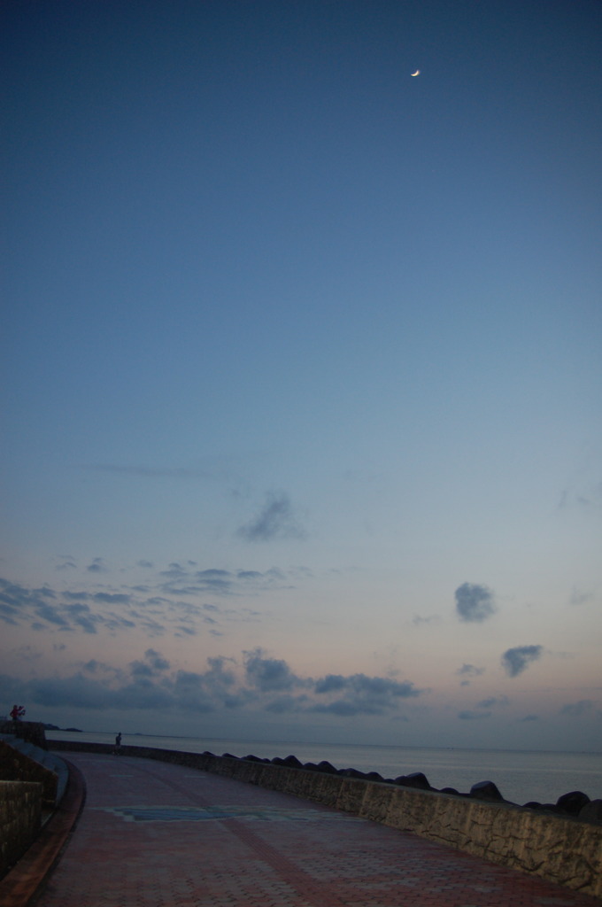 海へと続く道