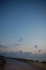 海へと続く道