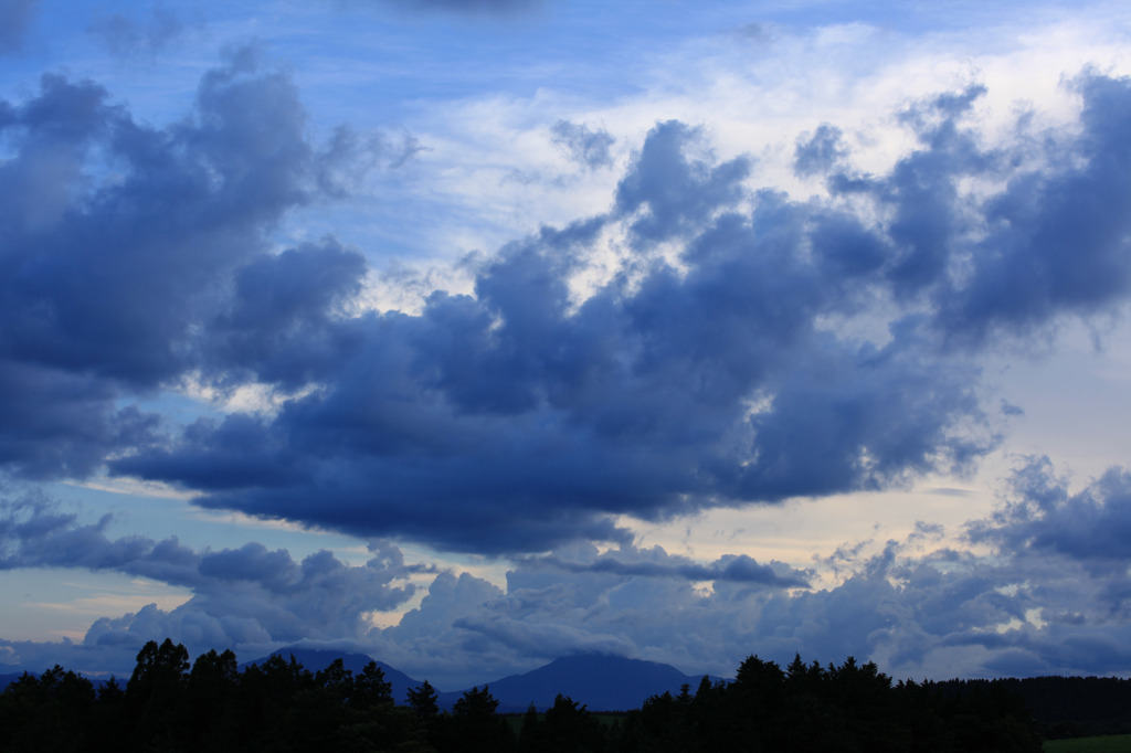 鳥の雲