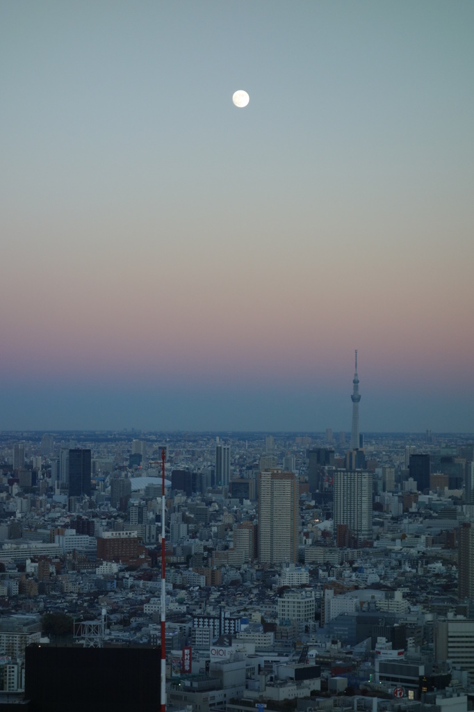 スカイムーン