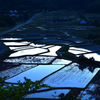 田植え前