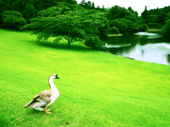 Kawamura Memorial Museum of Art