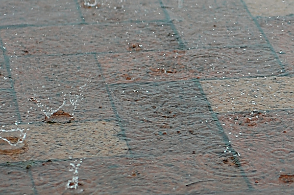 Rain Dance