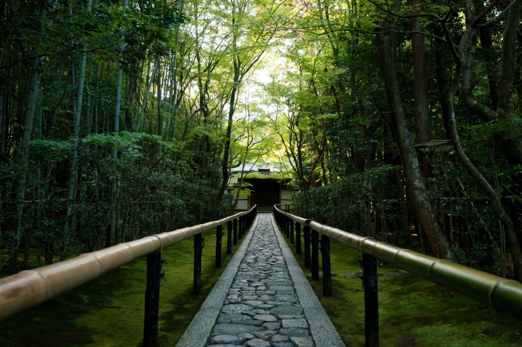 高桐院