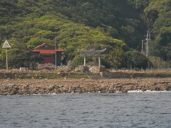 RIMG0132