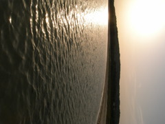 RIMG0257