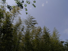 RIMG0068