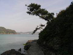 RIMG0233