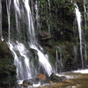 箱根　千条の滝