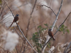 河原にて・・