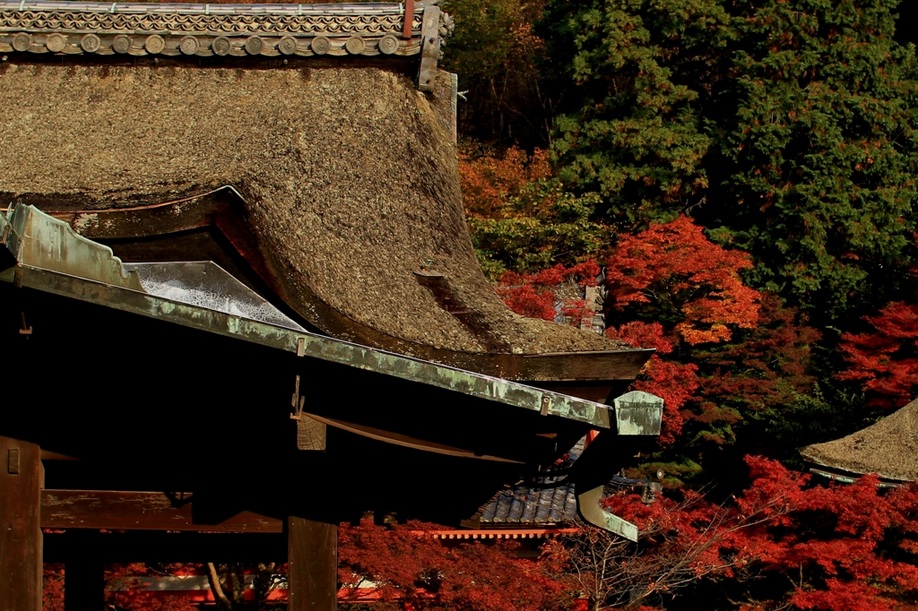 清水寺