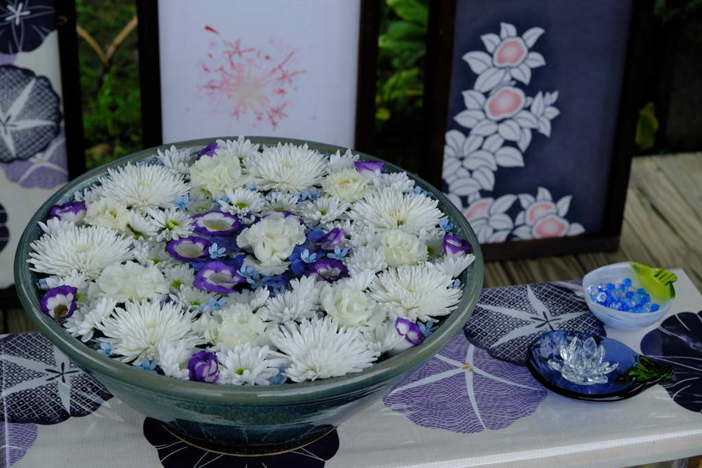 あしかがフラワーパーク