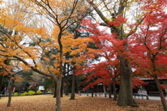 鑁阿寺