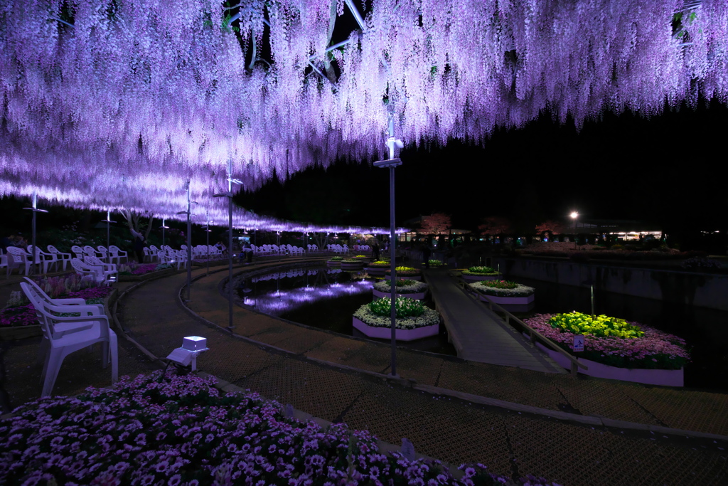 あしかがフラワーパーク